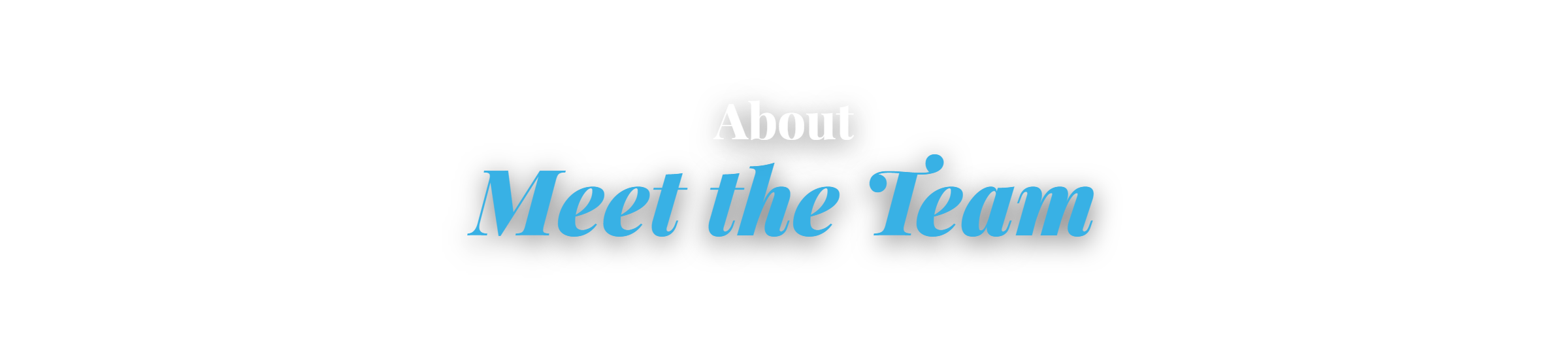 About — Meet the Team