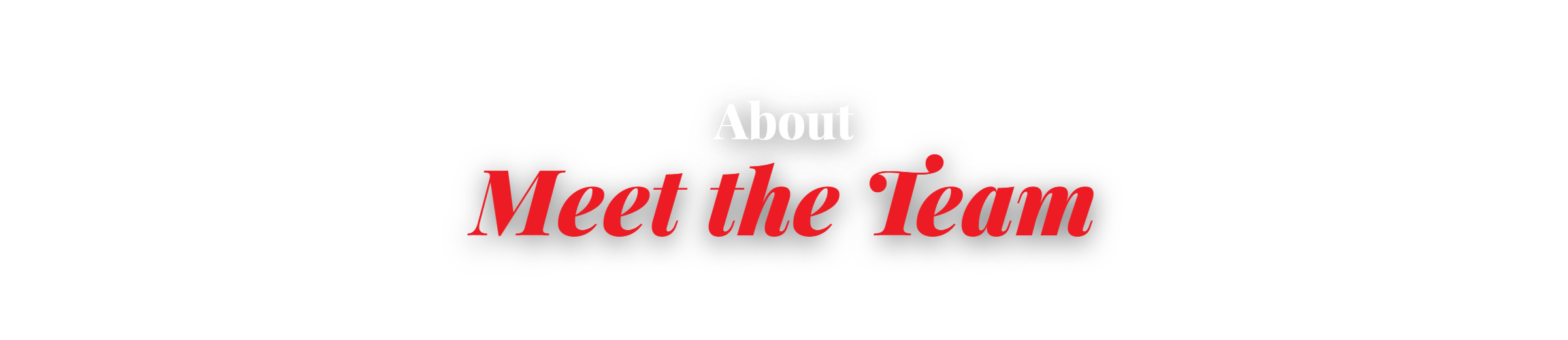 About — Meet the Team